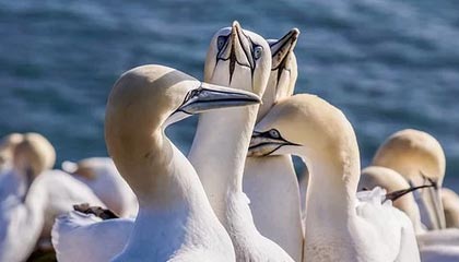 开云注册网址-李明全面爆发！攻防两端都做出巨大贡献！，李明筒历